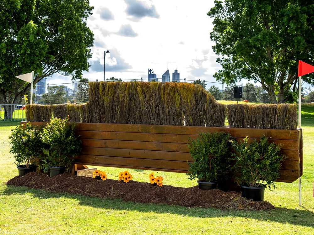 Feature brushwood in a horse jump