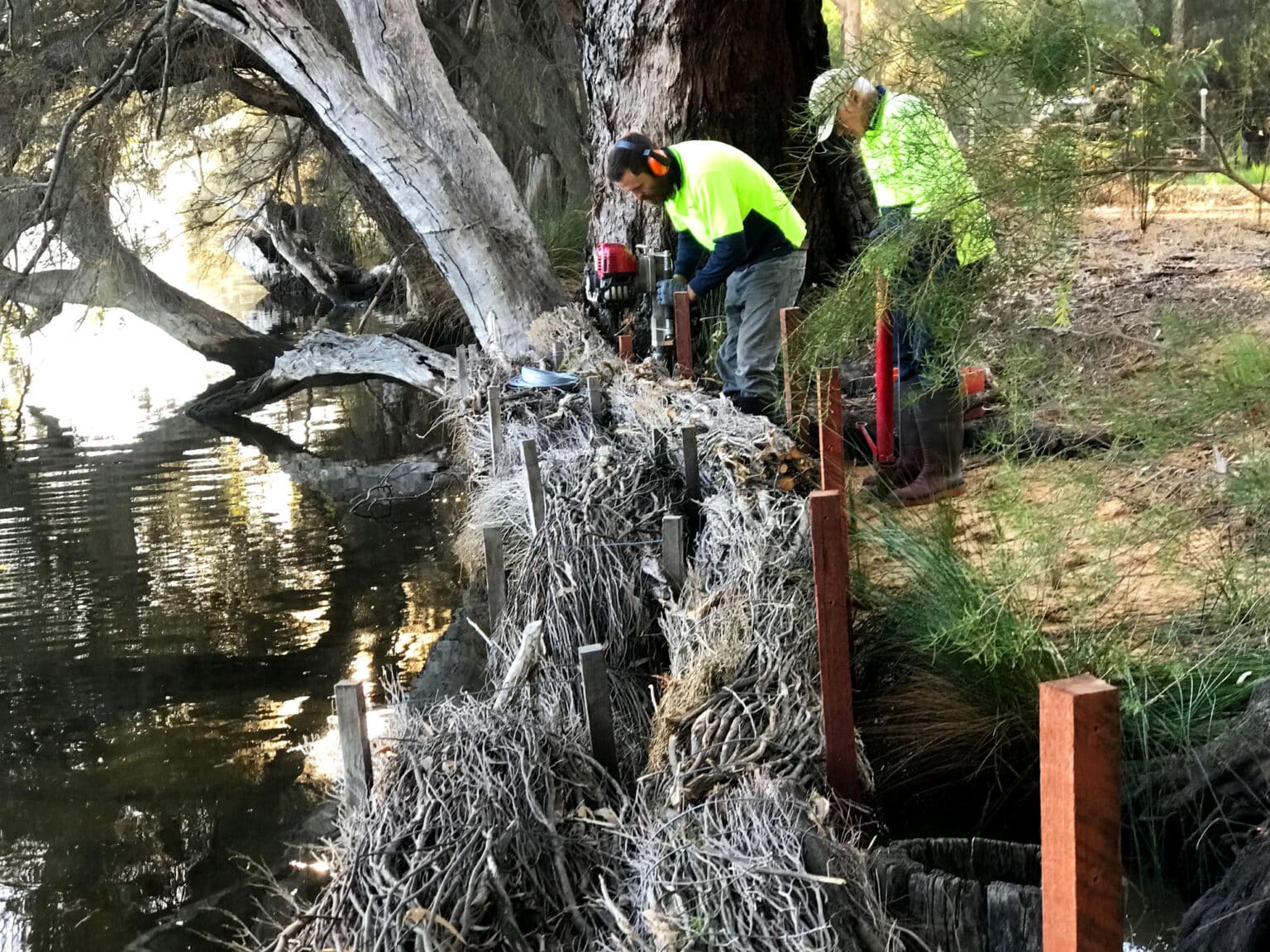 Two diligent Bowman Brush workers installing brushwood logs to enhance river ecology