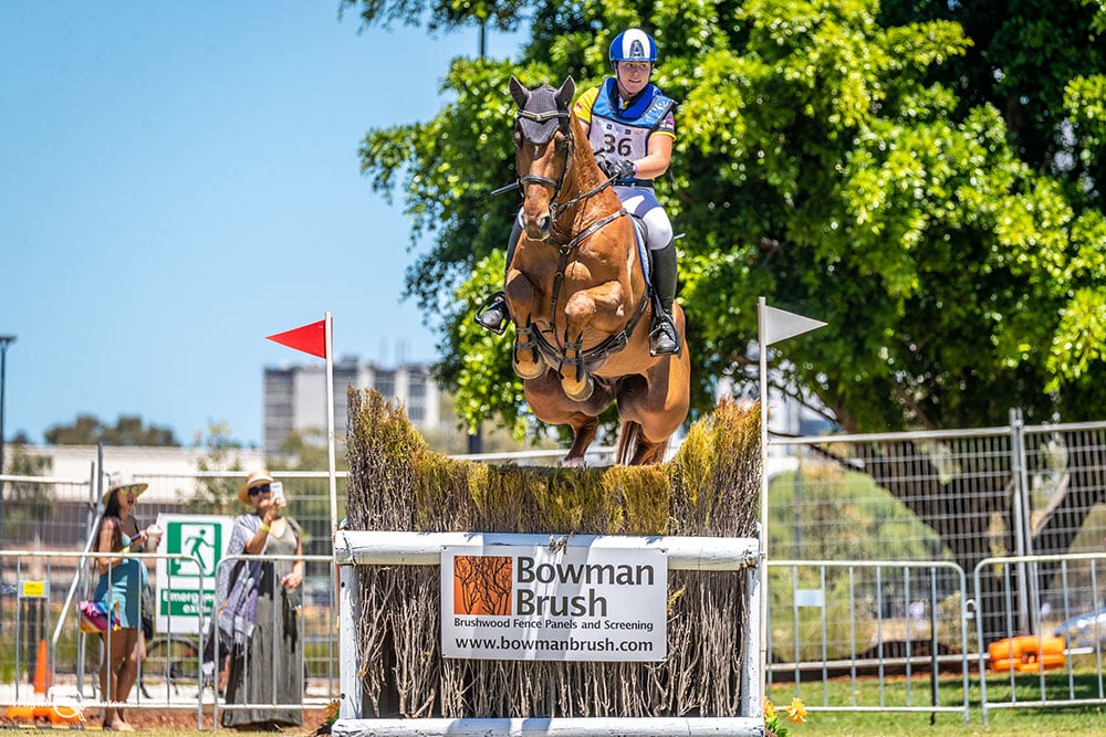 An horse jumping over brushwood inserts in an equestrian horse jump